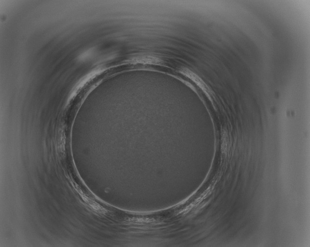 X0000085251115200703091251