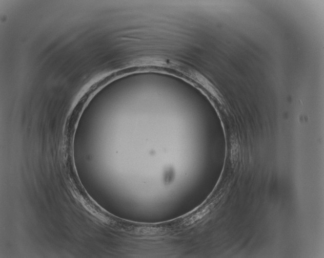 X0000085251116200703091251