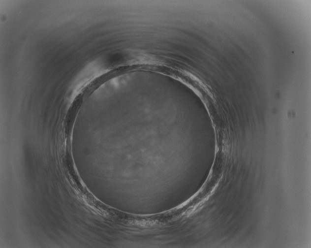 X0000085251117200703091251