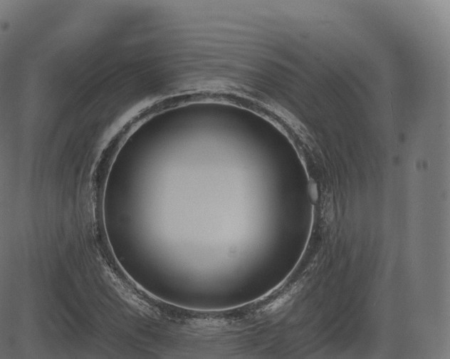 X0000085251118200703091251