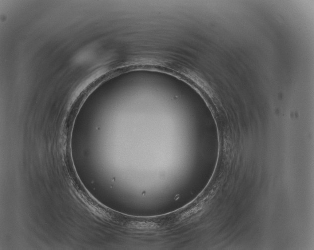 X0000085251119200703091251