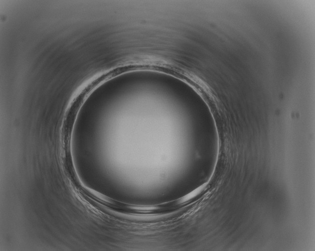 X0000085251120200703091251