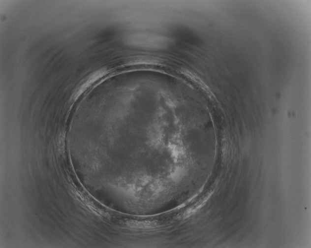 X0000085251121200703091251