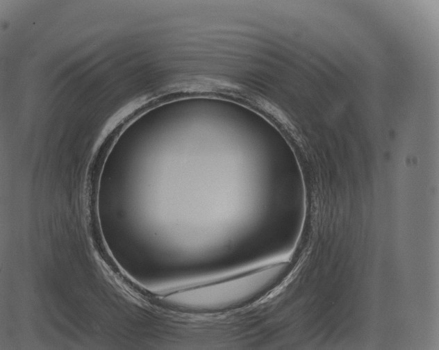 X0000085251122200703091251