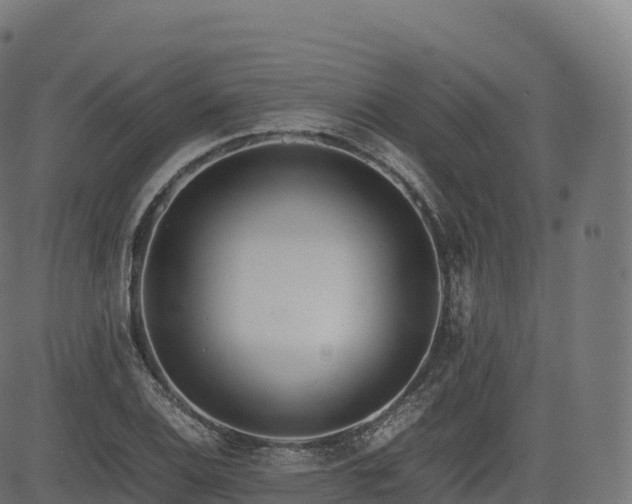 X0000085251124200703091251