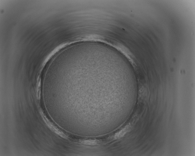 X0000085251126200703091251