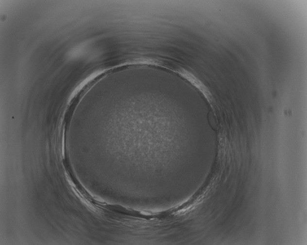 X0000085251127200703091251