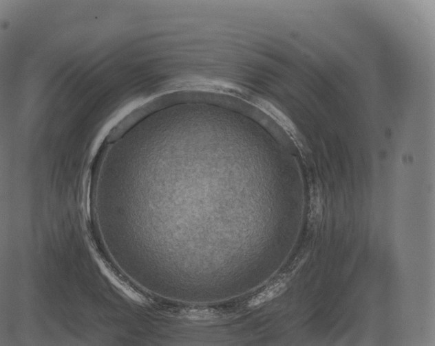 X0000085251128200703091251