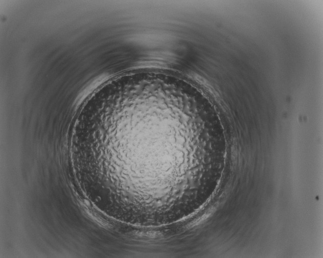 X0000085251129200703091251