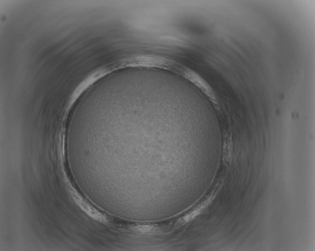 X0000085251130200703091251