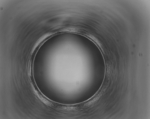 X0000085251131200703091251