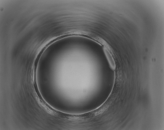 X0000085251132200703091251