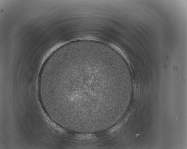 X0000085251133200703091251