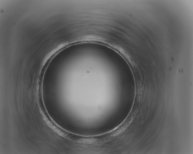 X0000085251134200703091251