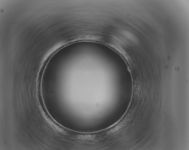 X0000085251135200703091251