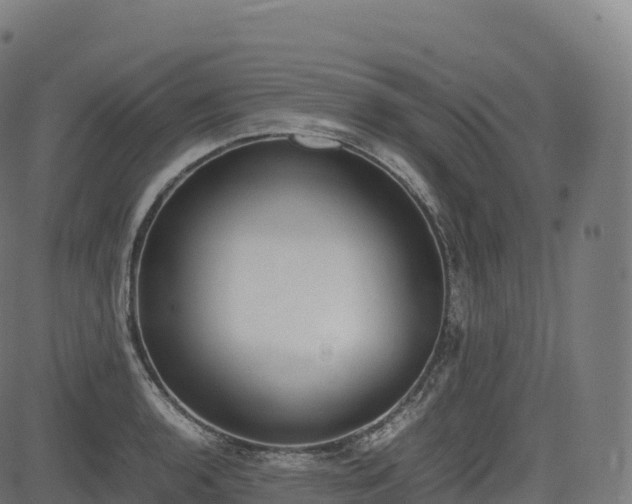 X0000085251136200703091251