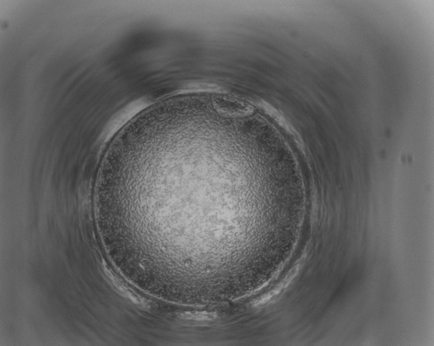 X0000085251137200703091251