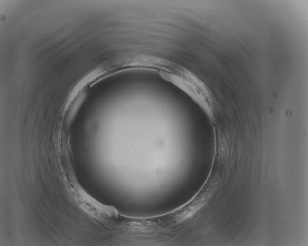 X0000085251138200703091251