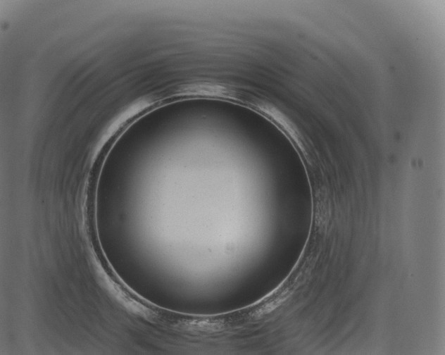 X0000085251139200703091251