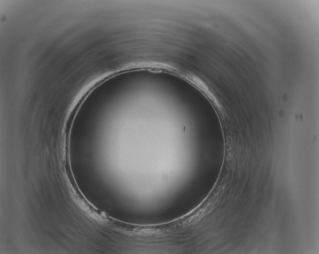 X0000085251140200703091251