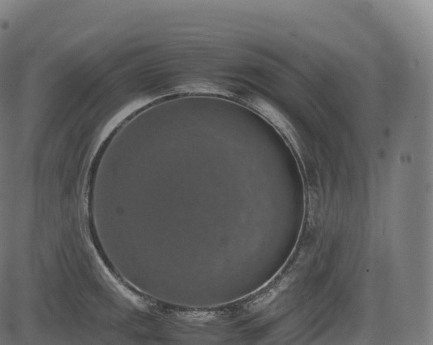 X0000085251141200703091251