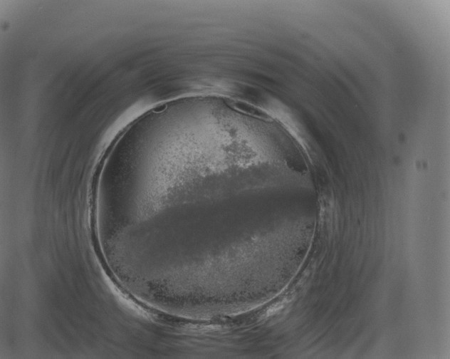 X0000085251143200703091251