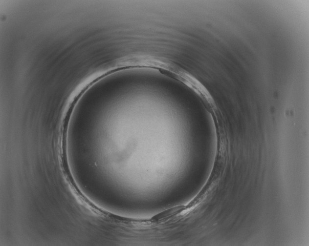 X0000085251144200703091251