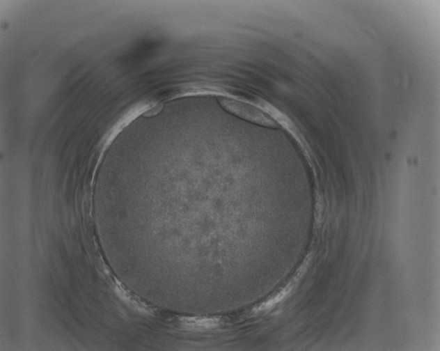 X0000085251145200703091251