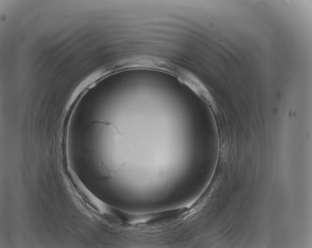 X0000085251146200703091251