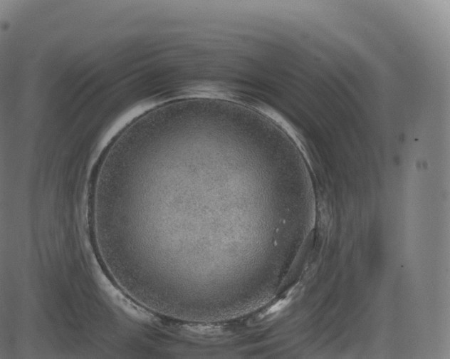 X0000085251147200703091251