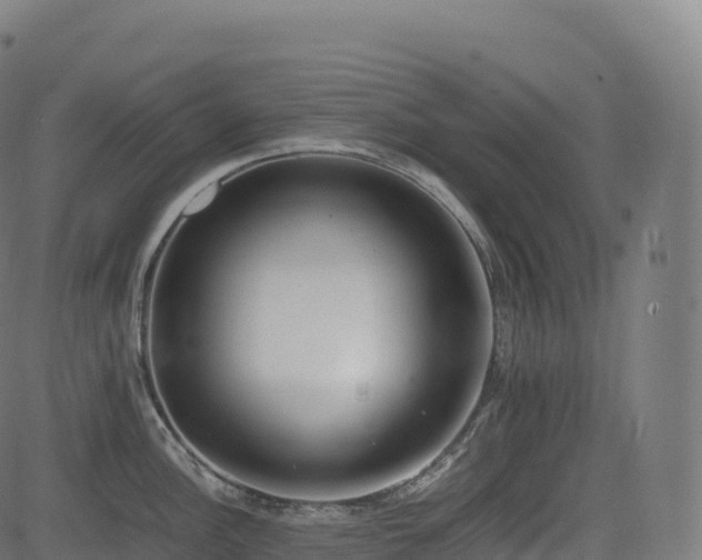 X0000085251148200703091251