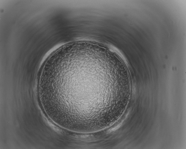 X0000085251149200703091251