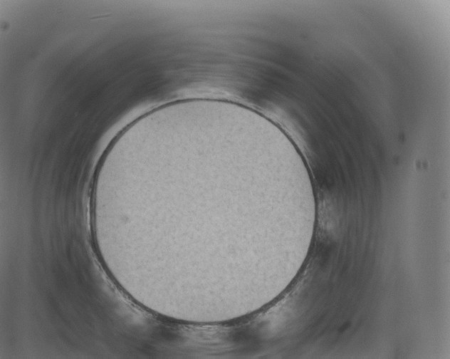 X0000085251150200703091251