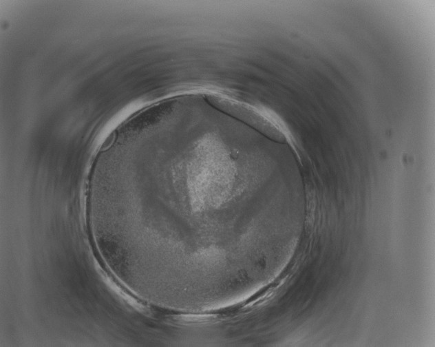 X0000085251151200703091251