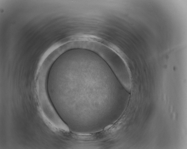 X0000085251152200703091251