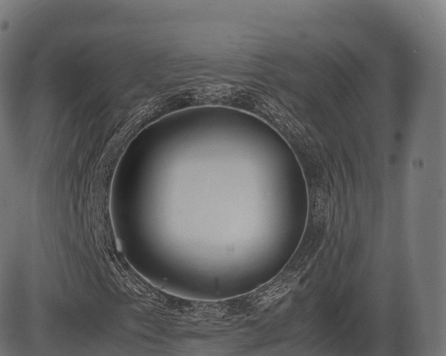 X0000085251153200703091251