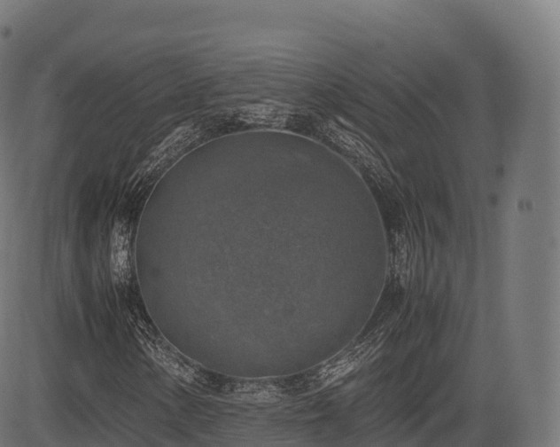 X0000085251154200703091251