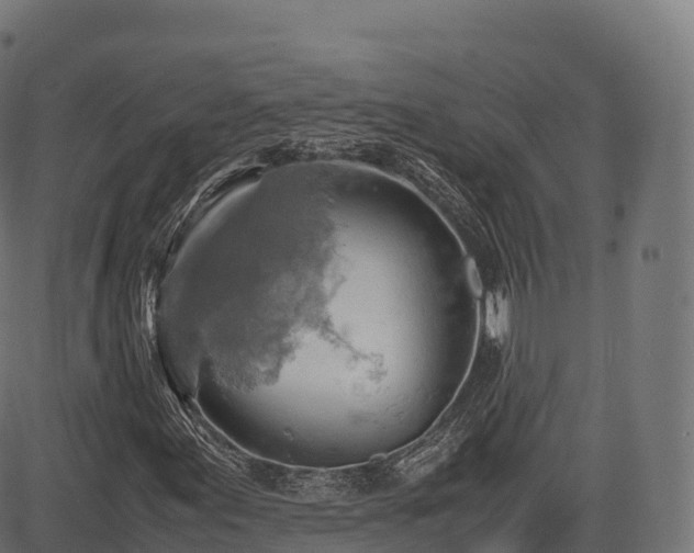 X0000085251155200703091251