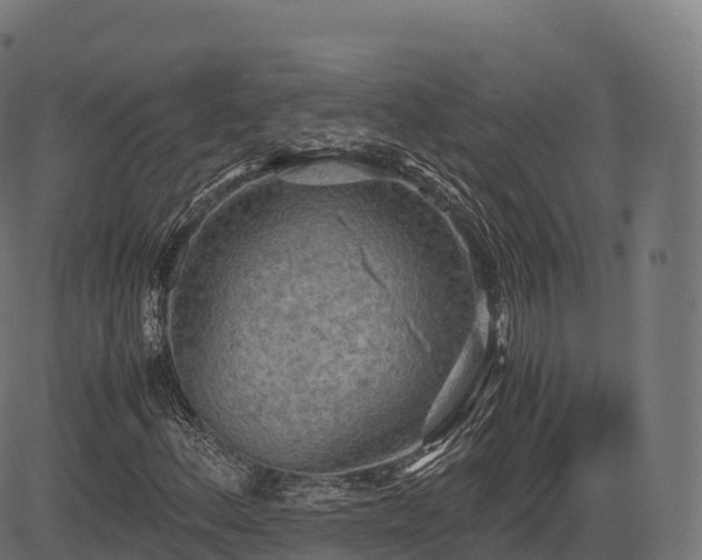 X0000085251156200703091251