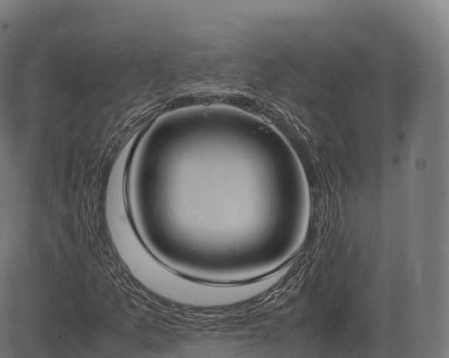 X0000085251157200703091251