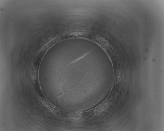 X0000085251158200703091250