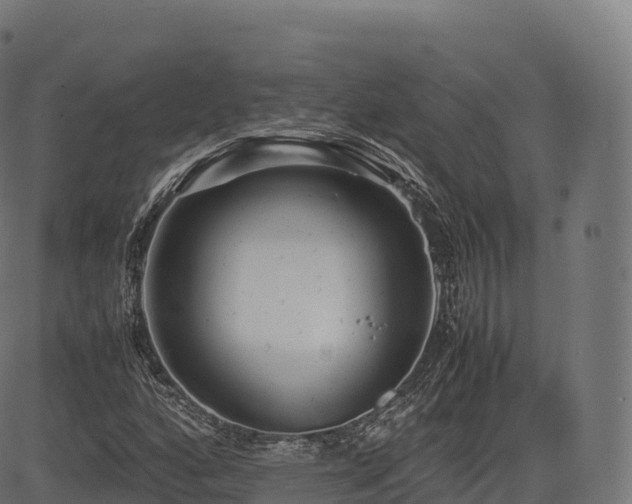 X0000085251160200703091250