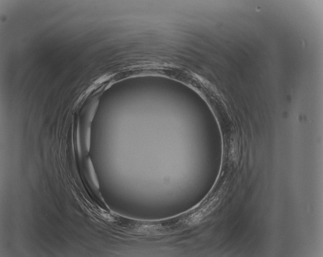 X0000085251161200703091250