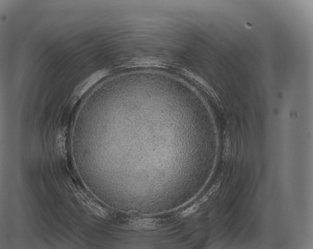 X0000085251162200703091250