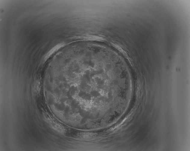 X0000085251163200703091250