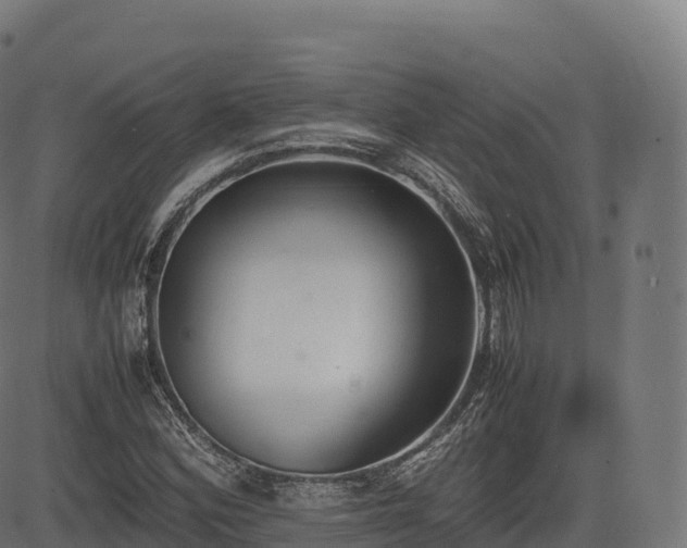 X0000085251164200703091250