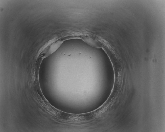 X0000085251165200703091250