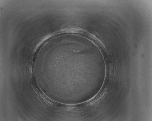 X0000085251166200703091250