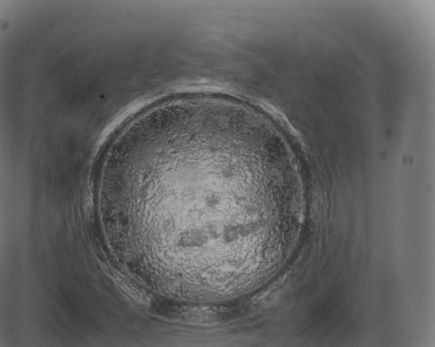 X0000085251167200703091250