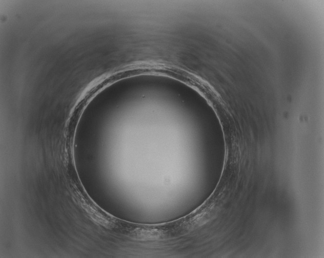 X0000085251168200703091250